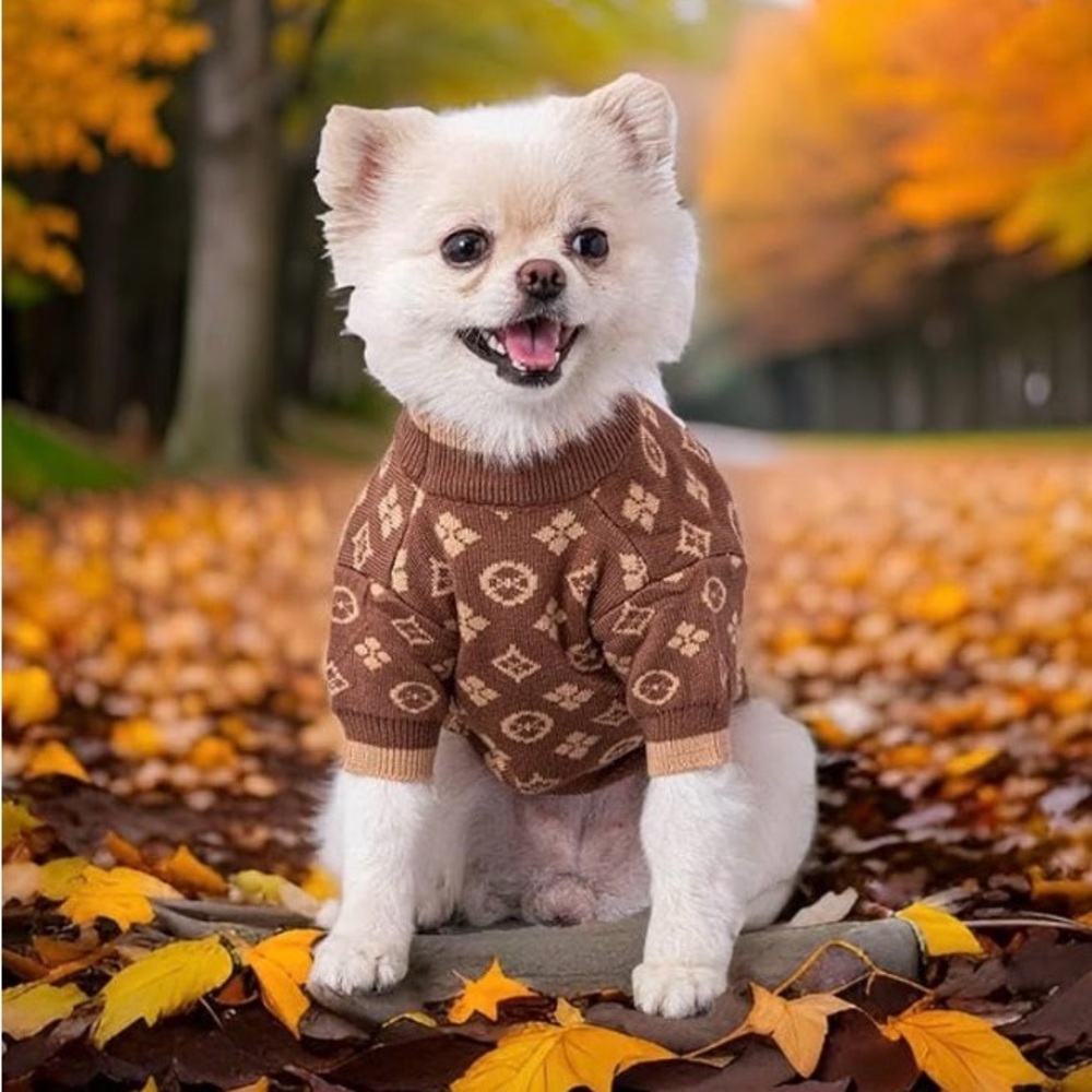 Stylish Brown Dog Sweater - Picture 5 of 6